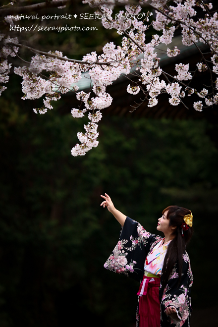 桜×袴