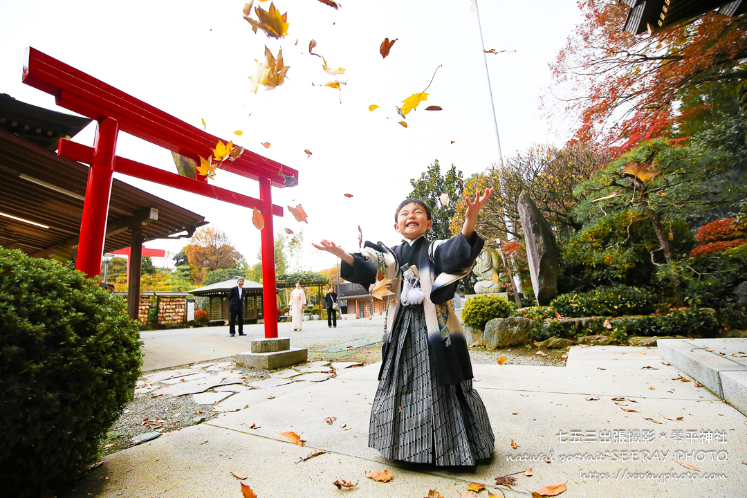 七五三出張撮影＠琴平神社
